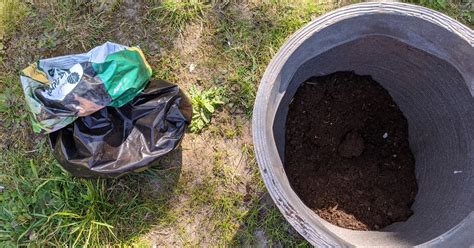 Cultiver Des Pommes De Terre En Sac Plantes Et Jardins Conseils En