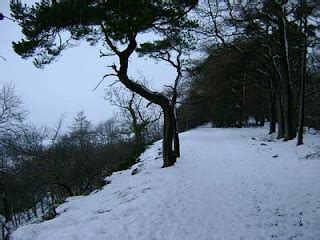 The Inn Way & TeamWalking: NORTHERN ECHO Leyburn Shawl walk, Yorkshire ...