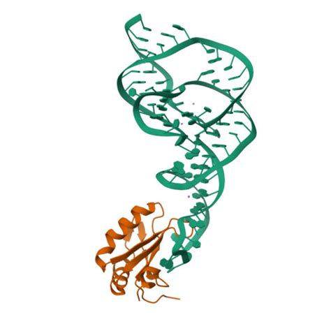 RCSB PDB 1VBY Crystal Structure Of The Hepatitis Delta Virus Gemonic