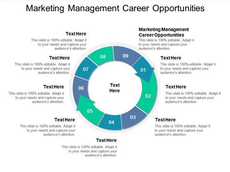 Marketing Management Career Opportunities Ppt Powerpoint Presentation