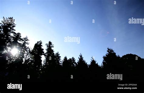 British Columbia Canada Stanley Park Vancouver Totem Pole Totem Stock