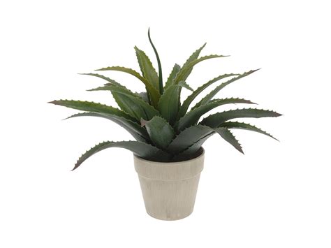 Sztuczna roślina w doniczce Aloes 25cm 28599 sklep BRW