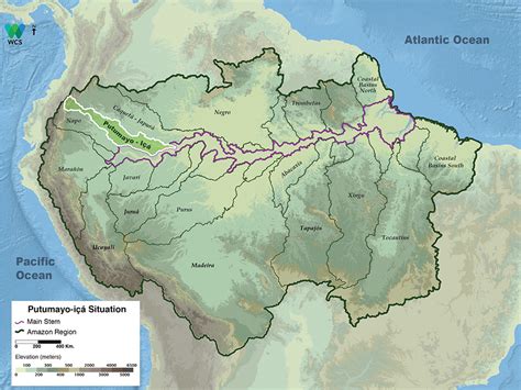 Putumayo-Içá - Aguas Amazonicas