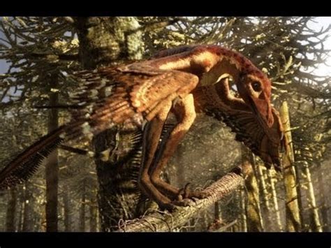 Sinornithosaurus a venomous raptor : Naturewasmetal