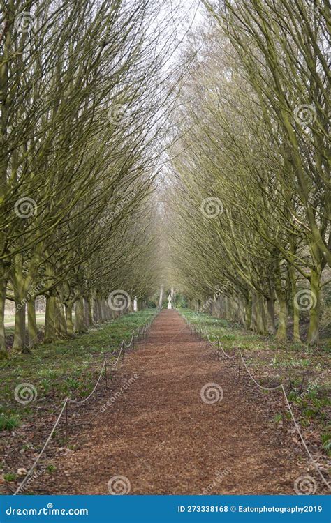 Anglesey Abbey in the sun stock photo. Image of cambridge - 273338168