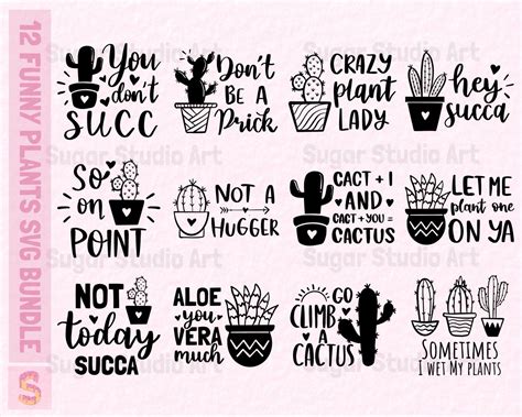 Cactus SVG Bundle Succulent Svg Funny Cactus Clip Art Succulent