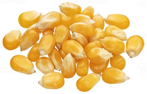 Heap Of Raw Corn Grains Isolated On White Background Dry Yellow