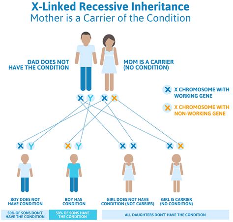 Hunter Syndrome Causes Symptoms Life Expectancy And Treatment