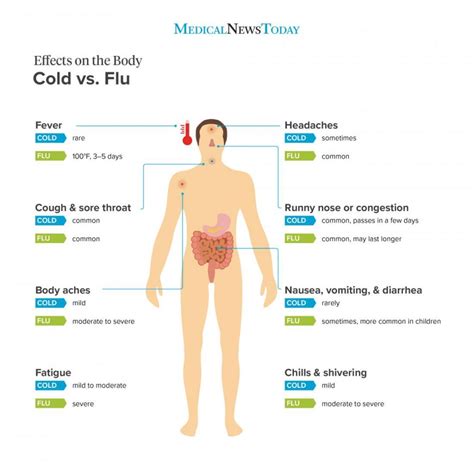 A Cold Or The Flu Malin Medical