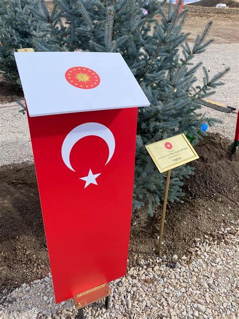 As Latvia is one of the greenest countries in Europe with forests