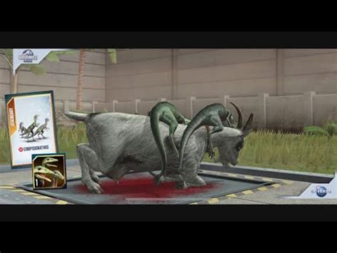 Compsognathus Jurassic World The Game Youtube