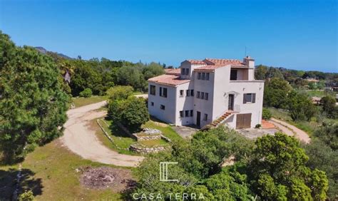 Paola House With Large Land Sainte Lucie De In Zonza Corsica France