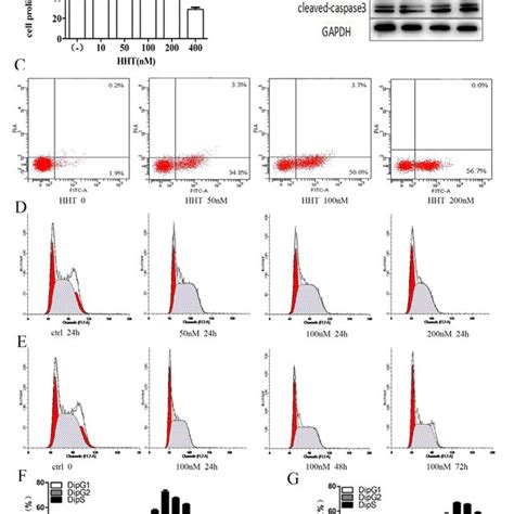 Cell Growth Inhibition Apoptosis And Cell Cycle Arrest Of Hht In Download Scientific Diagram