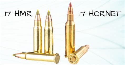 17 HMR Vs 17 Hornet Whats The Difference Eatingthewild