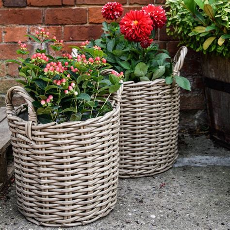 Basket Planters Outdoor - Mbi Garden Plant