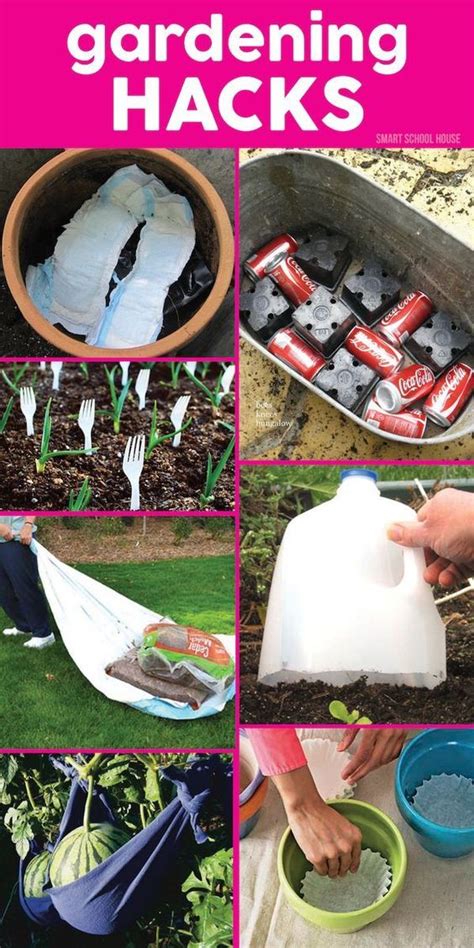 Gardening Hacks 9 DIY Home For You Diyhomeu