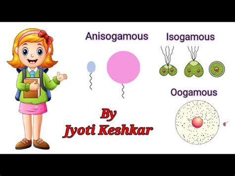 Isogamous, Anisogamous and Oogamous Fertilization with Examples easy Explanation by Jyoti ...