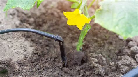 5 Different Types of Sprinkler/Irrigation Systems Explained - Smart ...