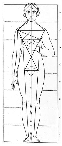 Female Anatomical Figure Showing Proportions Free Public Domain Image