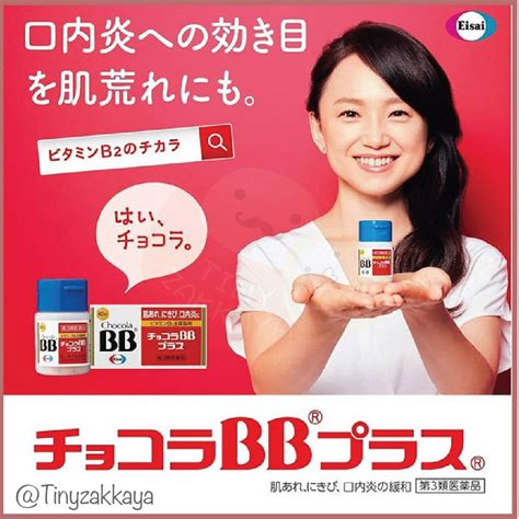 チョコラbbプラス 250錠x2個パック Net Consultingsubjp