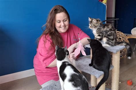 Falkirks First Cat Cafe Set To Open With Aim Of Boosting Communitys