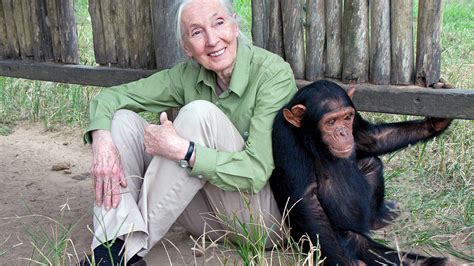 The Jane Goodall Institute