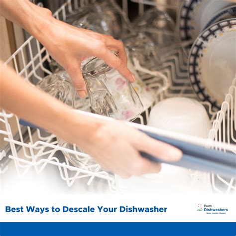 Best Ways To Descale Your Dishwasher 🍽️