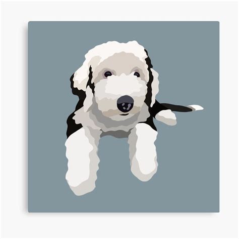 Sheepadoodle Dog Portrait Digital Illustration Canvas Print By