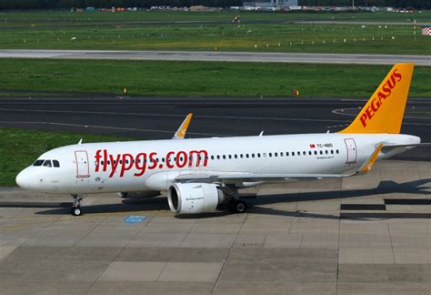 Airbus A Neo Pegasus Airlines Airliners Now