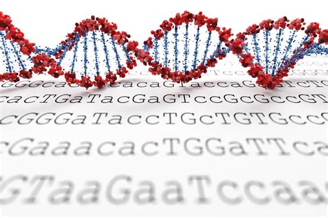 Next Generation Sequencing Ngs A Beginners Guide Blog Novogene