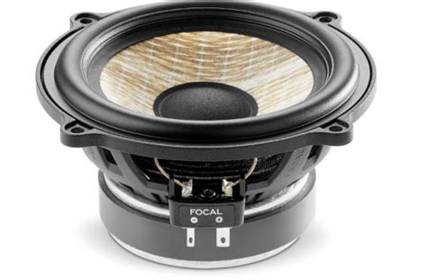 Ps Fe Focal America