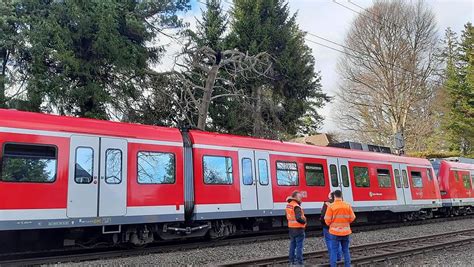 Baum St Rzt Auf S Bahn Sturm Sorgt F R Streckensperrung S Dlich Von