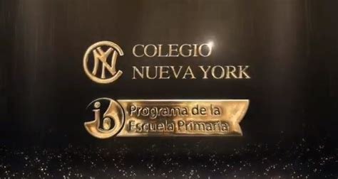 La Comunidad Neoyorquina Celebra Su Autorizaci N Del Programa De A Os