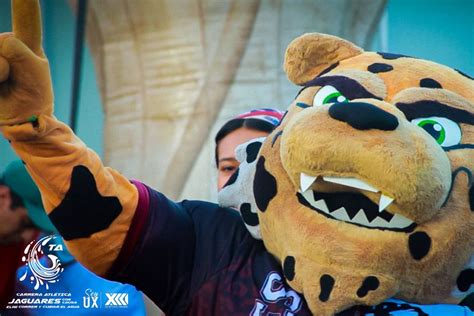 Universidad de Xalapa presenta la 6ta Carrera Atlética Jaguares con