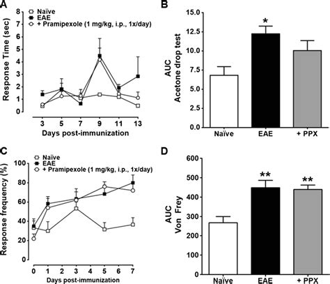 Development Of Mechanical Hypersensitivity And Thermal Allodynia