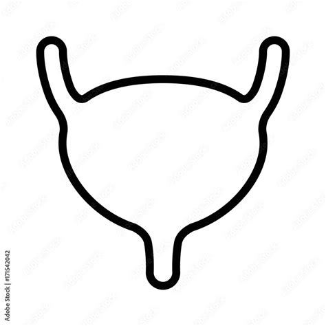 Urinary Bladder Vector Icon Royalty Free SVG Cliparts Vectors Clip