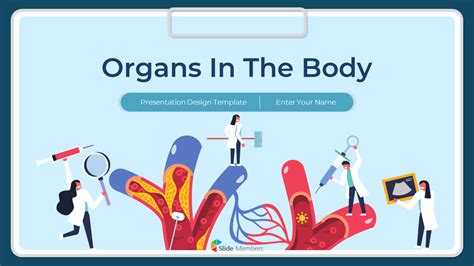 Organs In The Body Powerpoint Template