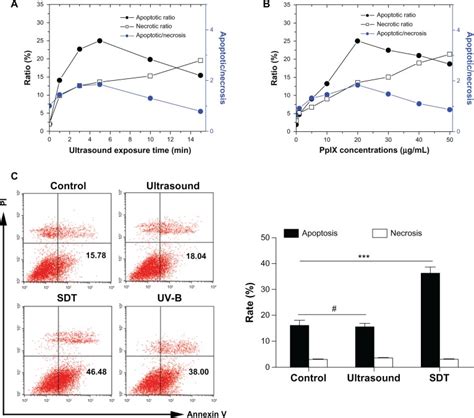 Apoptosis And Necrosis Induced By Sdt The Percentages Of Apoptotic And