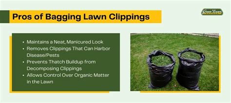 Mulching vs Bagging Clippings: The Pros and Cons