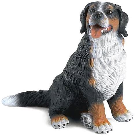 Figure Bernese Mountain Dog 「 Schleich Schleich 」 No 16316 Toy