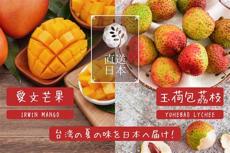 嘖嘖 日本直送｜玉荷包荔枝｜玉荷包ライチ｜愛文芒果｜愛文マンゴー｜新鮮台灣美味直送日本｜frucent