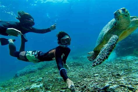 Private Bali Blue Lagoon Sea Turtles Snorkeling Tour With Lunch