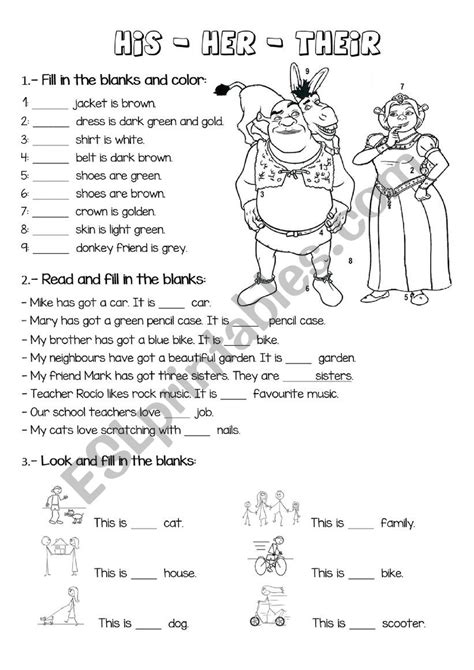 HIS HER THEIR ESL Worksheet By Cicada82