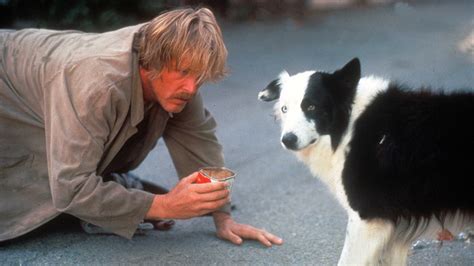 The Best Movie Dogs Of All Time