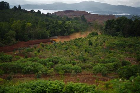 KLHK Lahan Bekas Tambang Yang Dipulihkan Lebih Dari 265 792 Ha