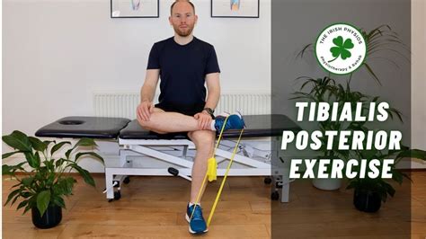 Best Tibialis Posterior Strengthening Exercise Youtube