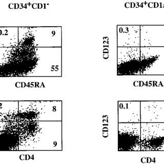 CD34 CD38 Fetal Liver Cells Cocultured With S17 Cells Develop Into