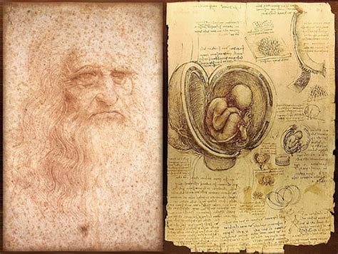 Cinco siglos sin Leonardo da Vinci el genio que dibujó las entrañas