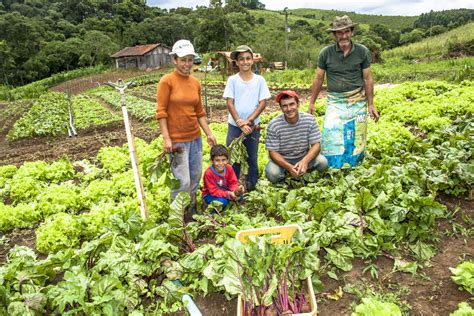 Reda O Sobre Agricultura Familiar Librain