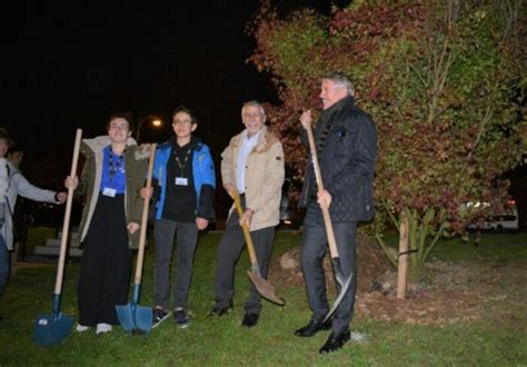 L arbre de la solidarité un arbre qui vous veut du bien Ville de Genas